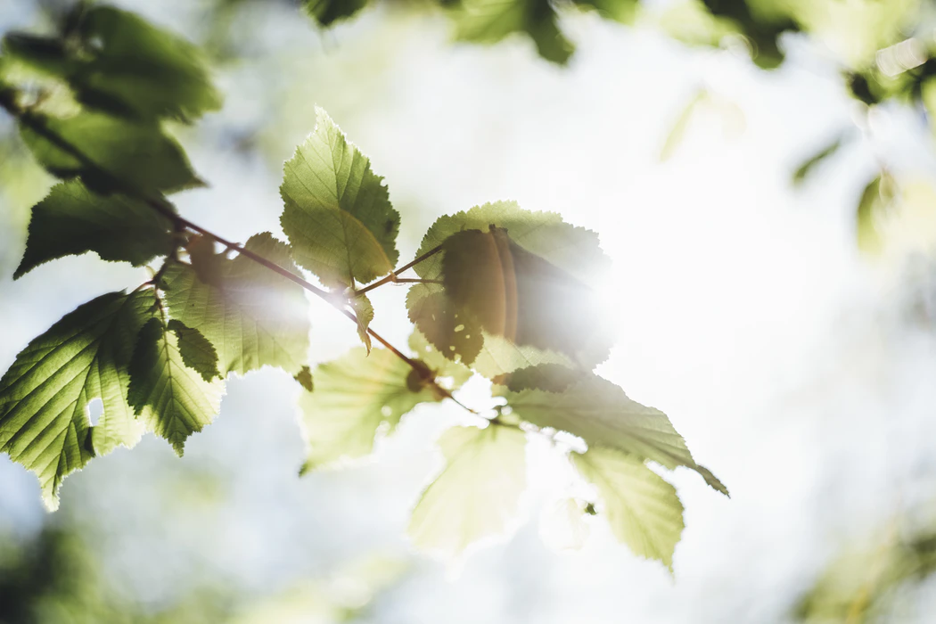 Eco-Friendly Practices You Should Follow at Your Laundromat  Thumbnail