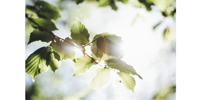 Eco-Friendly Practices You Should Follow at Your Laundromat  Header Image